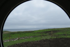 Image00010